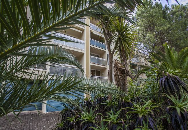 Apartamento em Cascais - Guia Acacias Apartment